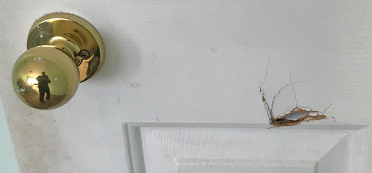 interior door hole repair Arden-Arcade