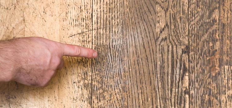 Wood Door Scratch Repair in Arden-Arcade